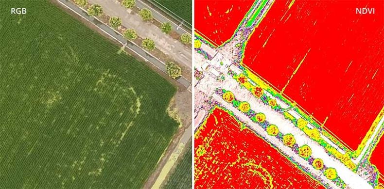 Imagens captadas por drones agrícolas
