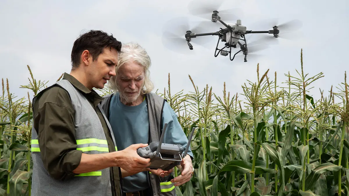 Instrutor ensina operador a usar o controle do drone agrícola DJI em lavoura de milho