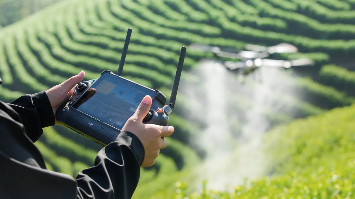 Piloto segura o controle do drone agrícola DJI durante pulverização em lavoura